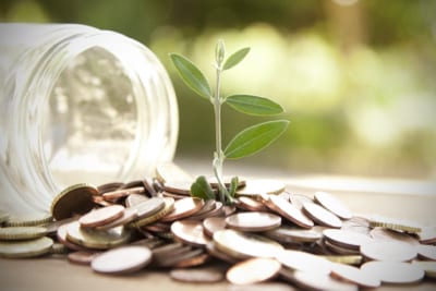 coins sprouting a plant savings concept