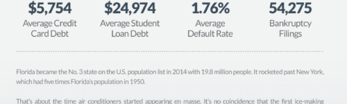 Florida Debt Statistics Infographic